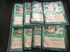 Invigorating Falls Japanesefoil 8-Piece Set Torment Rebecca