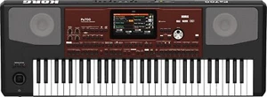 KORG PA700 61 key Professional Arranger Workstation Keyboard From Japan - Picture 1 of 3