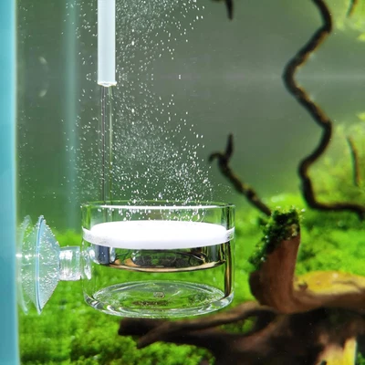 Диффузор пыльцевого стекла CO2 с U-образной соединительной трубкой для аквариума с растениями - Изображение 1 из 4