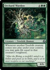 WOTC MtG Morningtide Orchard Warden (U) (Foil) NM