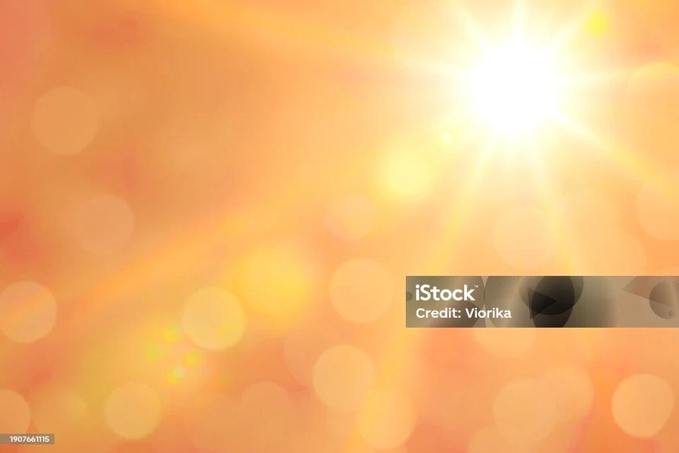 Guantes de Levantamiento de Pesas Fitness Culturismo Entrenamiento, Guantes de Gimnasio, Unisex Foto 1 de 1