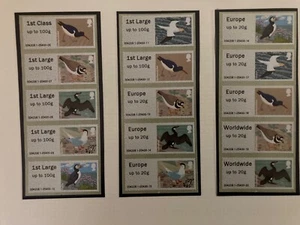 JUEGO DE 4 PÁJAROS WINCOR KIDDERMINSTER 30 a ww20g POST GO - VER TODOS LOS ESCANEOS - RARO - Imagen 1 de 3