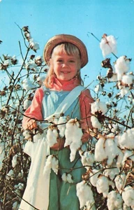 Bolls in cotone bianco, ragazza carina con cappello di paglia, sud degli Stati Uniti, cartolina d'epoca - Foto 1 di 2