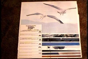 JONATHAN LIVINGSTON SEAGULL 1973  11X14 LOBBY CARD SET CULT CLASSIC - Picture 1 of 1