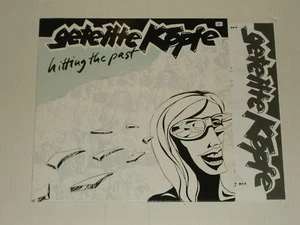 GETEILTE KÖPFE -Hittin The Past- LP - Foto 1 di 1