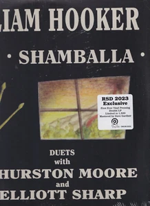 William hooker shamballa duets w/ Thurston Moore & Elliott sharp 2x lp ltd 1500 - Picture 1 of 3