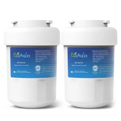 EcoAqua EFF-6013A Water Filter Compatible with GE SmartWater MWF, MWFA MWFAP 2PK - Image 1 of 4