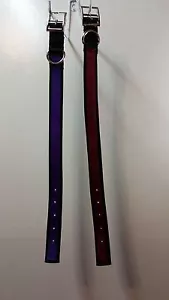 1" Strong Hunting Dog Collar 2 Ply Webbing Metal Super Tough - Picture 1 of 10