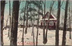 c1900s PORTLAND Maine Postcard "A Corner of RIVERTON PARK" Undivided Back UNUSED - Picture 1 of 2