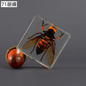 蜜蜂收藏品| eBay