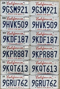 Konvolut 12 California Lippenstift Nummernschilder schön - Bild 1 von 1