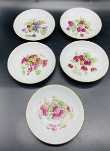 Lot Of 5 Butter Plates Dish Made In Israel Fruit Pattern Naaman Ltd - Picture 1 of 4