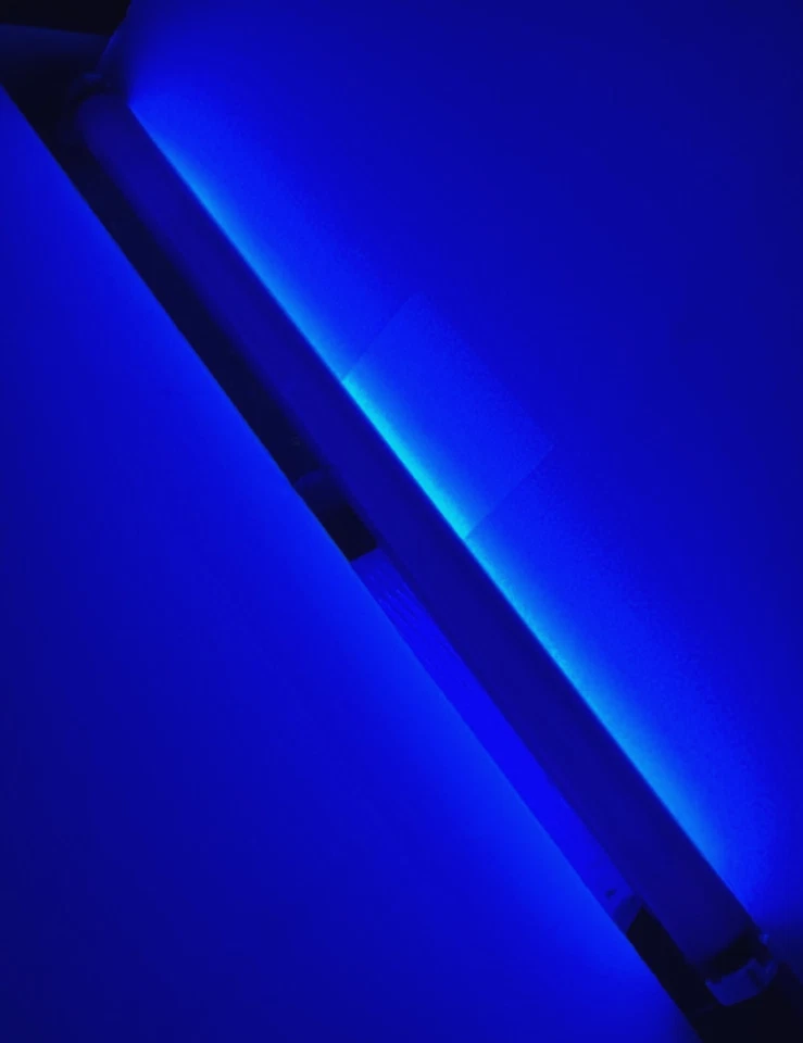 20W 24" 2Ft F20T12/BLB Black Light Blue FLUORESCENT TUBE Light Bulb NEW 314351 - Image 1 of 4