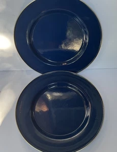 Discontinued Pottery Barn Enamelware Chargers Plates 12” Blue Set x2 Partyware - Picture 1 of 7