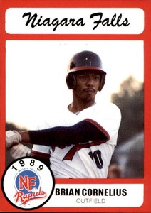 1989 Niagara Falls Rapids Pucko #4 Brian Cornelius Brooklyn New York NY Card
