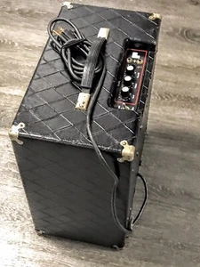 Polytone Combo Mini-Brute 111 - Picture 1 of 12