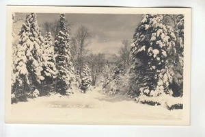 Postal con foto real pinos cubiertos de nieve en Lake Placid NY - Imagen 1 de 1