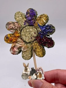 Blumen Lutscher Timothy Gras Heu mit Blütenblättern für Kaninchen, Meerschweinchen, Ratte - Bild 1 von 5