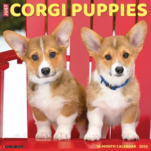 Corgi Puppies 2025 12" x 12" Wall Calendar (free shipping) - Picture 1 of 5