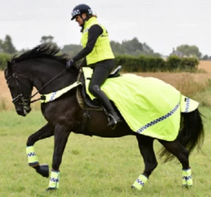 Equisafety Hi-Viz Polite Wrap Around Exercise Rug Flourescent Waterproof Quilted - Picture 1 of 7