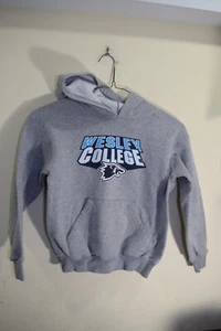 Defunct Wesley College DE Wolverines Pullover Hoodie Sweatshirt BOYS M 8 Gray - Picture 1 of 16