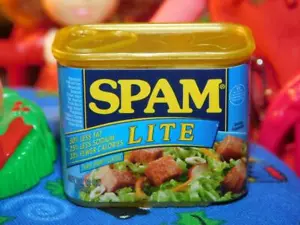 Spam Lite Zuru Mini Brands Miniature Play Food fits Barbie Dollhouse Diorama NEW - Picture 1 of 1