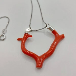 Rama de coral rojo natural, ónix y plata de ley - Imagen 1 de 13