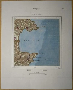 1879 Perron map: Torquay, Devon, England (#90) - Picture 1 of 1