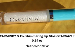 Shimmering Lip Gloss STARGAZER 0.14 oz CLEAR COLOR NEW CARMINDY & Co - Picture 1 of 1