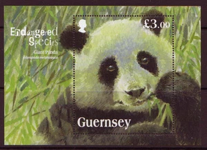 GUERNSEY 2013 ESPECIE EN PELIGRO DE EXTINCIÓN PANDA SIN MONTAR COMO NUEVO, MONTADO SIN MONTAR O NUNCA MONTADO - Imagen 1 de 1