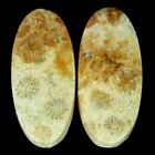 26.15Cts.100%Natural Fossil Coral Oval Matched Pair Cab 11X25x5mm Loose Gemstone