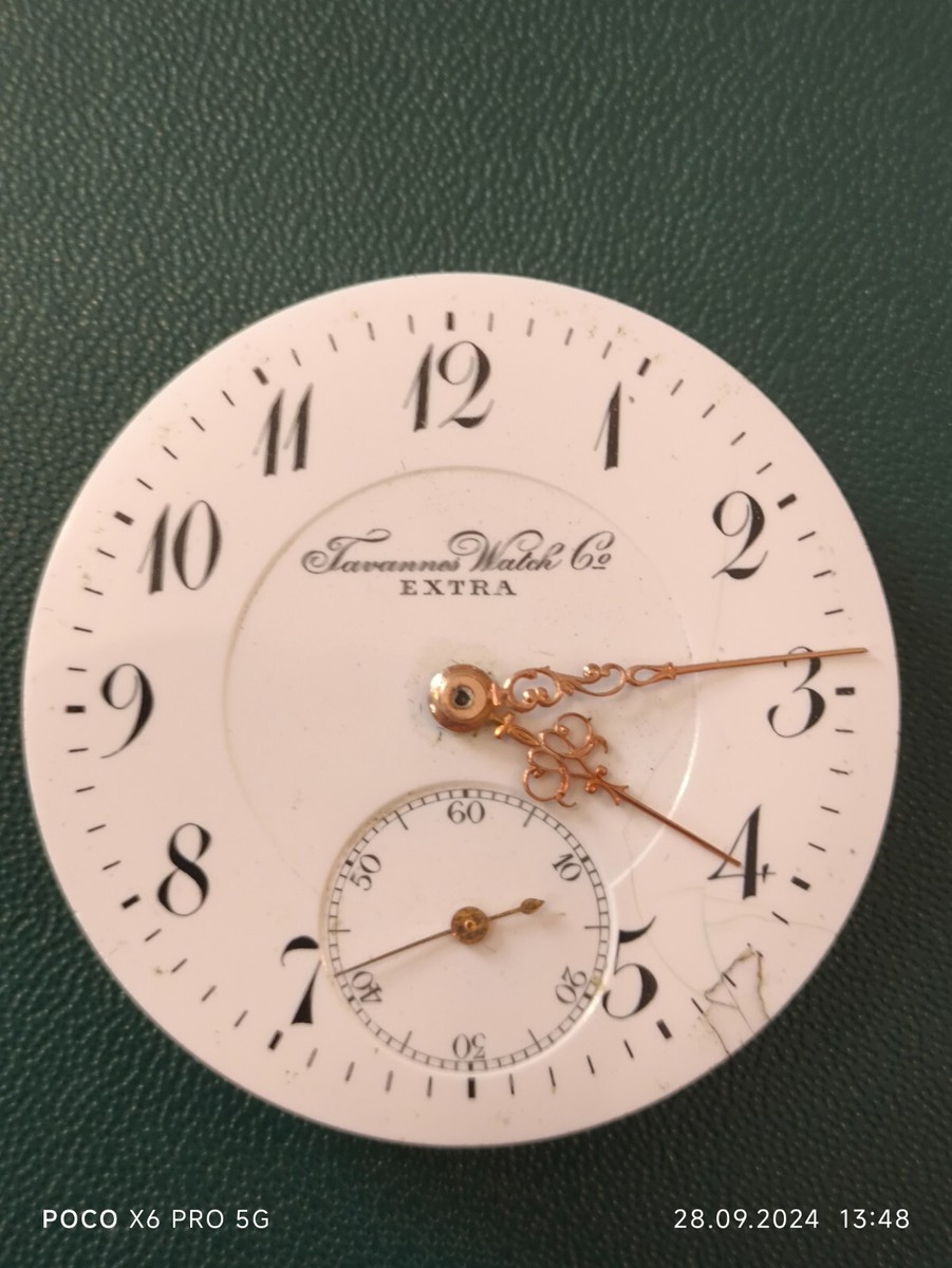 Tavannes Watch Co. ポケットウォッチ 15ジュエル Tavannes watch co. - - Gem