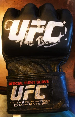 MMA gloves UFC fight worn left hand Cover
