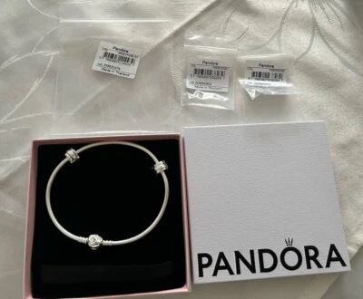 Pandora Armband Blühende Rose 23 cm + 2 polierte bänder clip Charms ❤️  - Bild 1 von 3