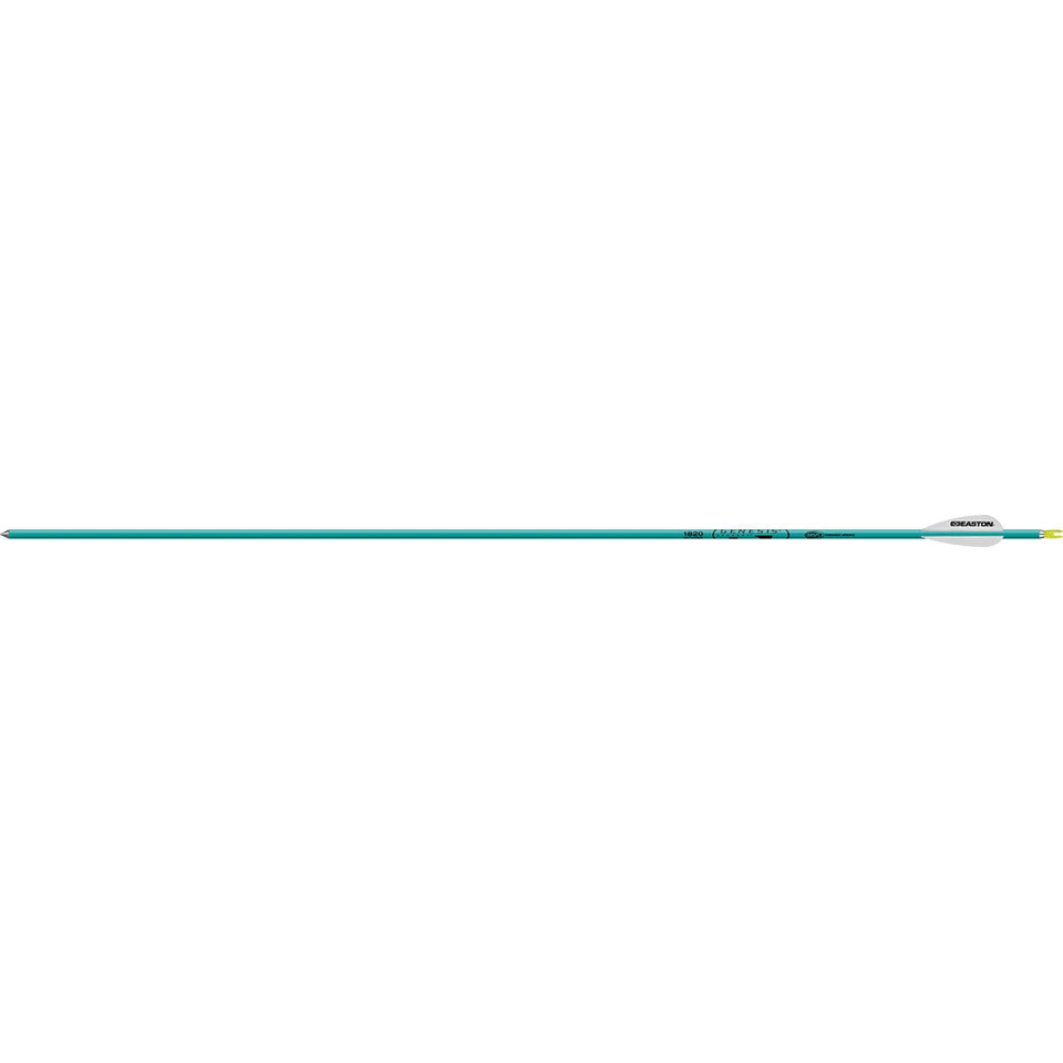 🏹 Easton Genesis Arrows Teal 1820 6 pk. Foto 1 de 1