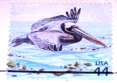 Bosque de algas - Pelícano marrón - Réplica de estampillas doradas de 22kt 2009 - Réplicas doradas Foto 1 de 4