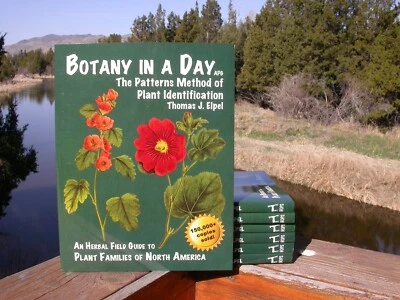 Botany in a Day: The Patterns Method of Plant Identification, 6.2, from Author - Image 1 of 4