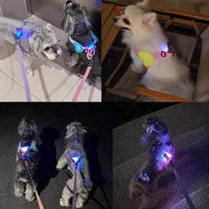 Nylon LED Dog Harness Pet Cat Dog Collar Harness Vest Safety Lighted Dog Harness - Picture 1 of 17