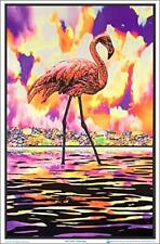 Flamingo Laminated Blacklight Poster - 23.5" x 35.5"