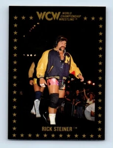 1991 Championship Marketing WCW Rick Steiner RC #26 - Picture 1 of 2