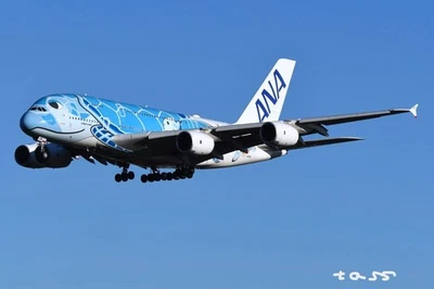 NUEVO JC WINGS ESCALA 1:200 ANA AIRBUS A380-800 JA381A LIBREA TORTUGA🛫✈️🛩! Foto 1 de 4