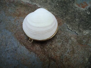 Shell Coin Purse Beach Art Vintage Style Trinket Box Nautical Pill Nice Gift A1 - Picture 1 of 11