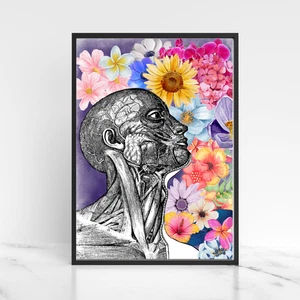 Biology Wall Art, A4 Print, High Quality Poster, Anatomy Art, Andreas Vesalius - Picture 1 of 8