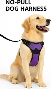 Timt No Pull Hundegeschirr Größe XL lila - Bild 1 von 3