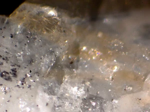 Wadeite: Mt. Kukisvumchorr, Khibiny, Kola, Rusia-Micromount - Imagen 1 de 3