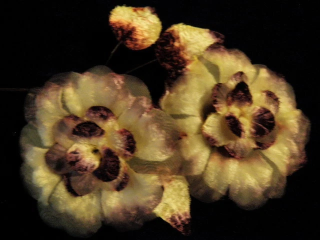 Millinery цветок 3» бархата 2 Bloom отделки слоновой кости сливы для шляпы свадьбы или волос K69 - Изображение 1 из 1