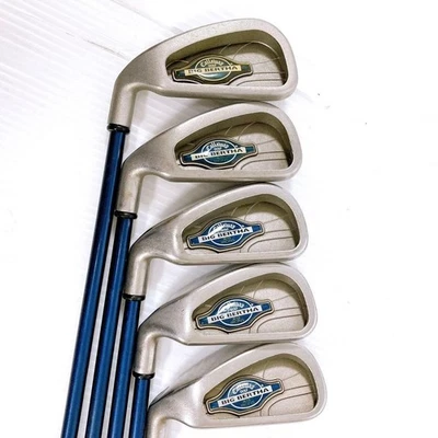 Lefty Callaway Big Bertha Iron Set 10pcs 3-PW, GW, SW SUPER JV200 Carbon Flex R - Image 1 of 4