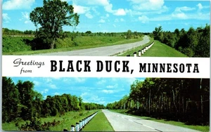Greetings from Black Duck , Minnesota Postcard c1959 - Picture 1 of 2