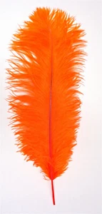 Orange Ostrich Feather Seconds 12-14 per SIX (6) - Picture 1 of 2