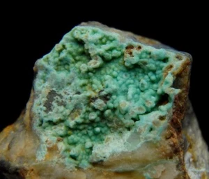 TURQUOISE - Poland - Lower Silesia - Pustków Wilczkowski /pj320 - Picture 1 of 12